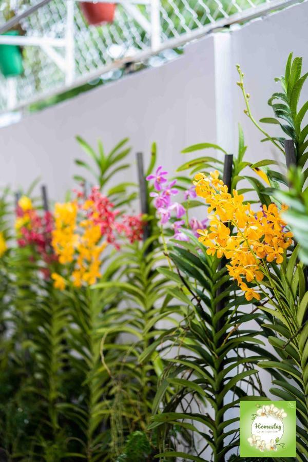 Can Tho Orchid Garden Homestay Εξωτερικό φωτογραφία