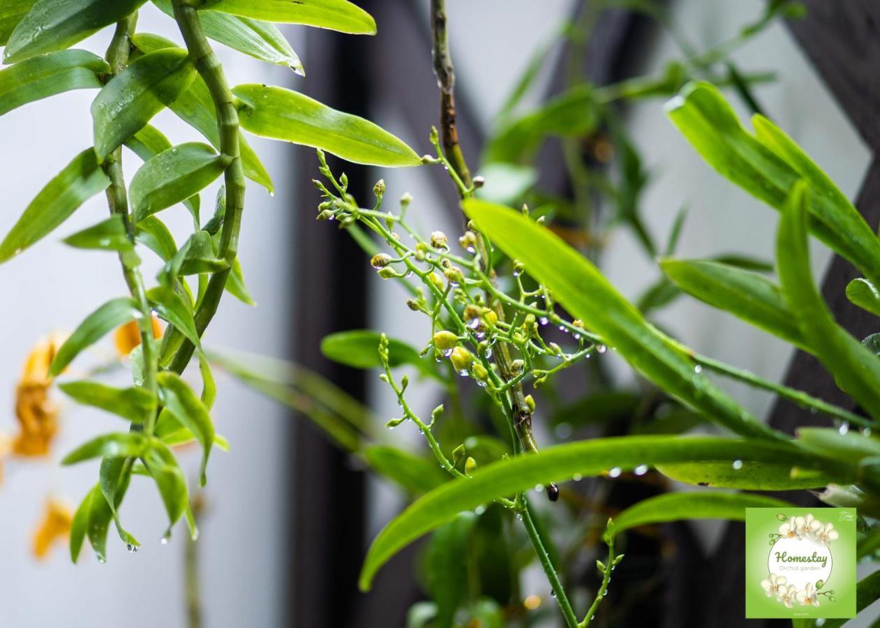 Can Tho Orchid Garden Homestay Εξωτερικό φωτογραφία